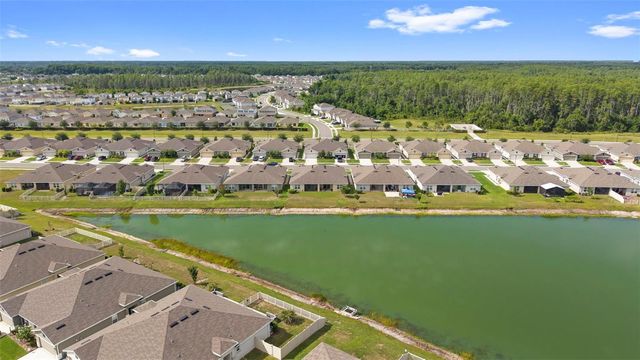 17784 TURNING LEAF CIRCLE, Land O Lakes, FL 34638