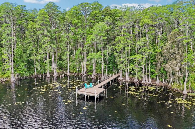16117 SUNCREST SHORES DRIVE, Odessa, FL 33556