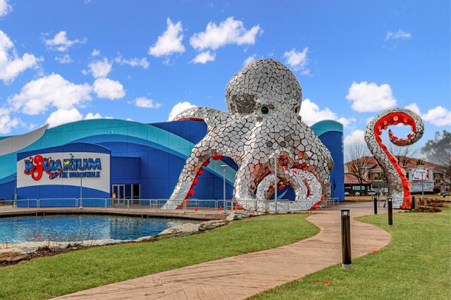 420 Fall Creek Drive 9-10, Branson, MO 65616