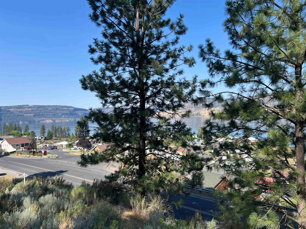 XXX E Seven Bays Rd, Lincoln, WA 99147 photo 12