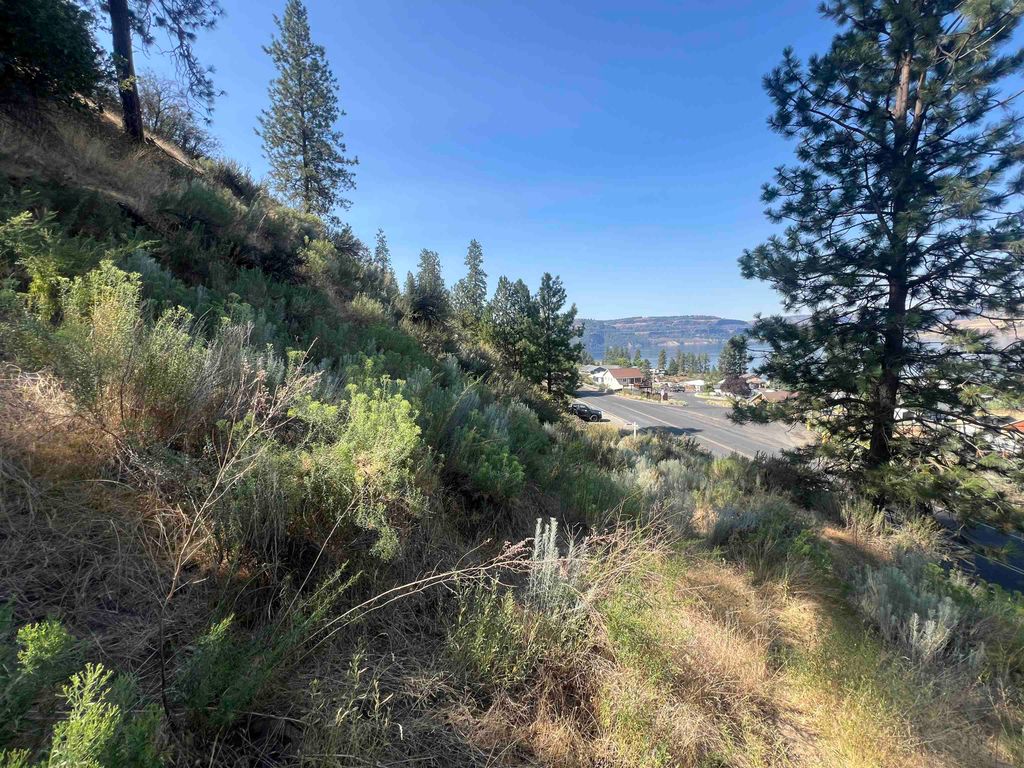 XXX E Seven Bays Rd, Lincoln, WA 99147 photo 13