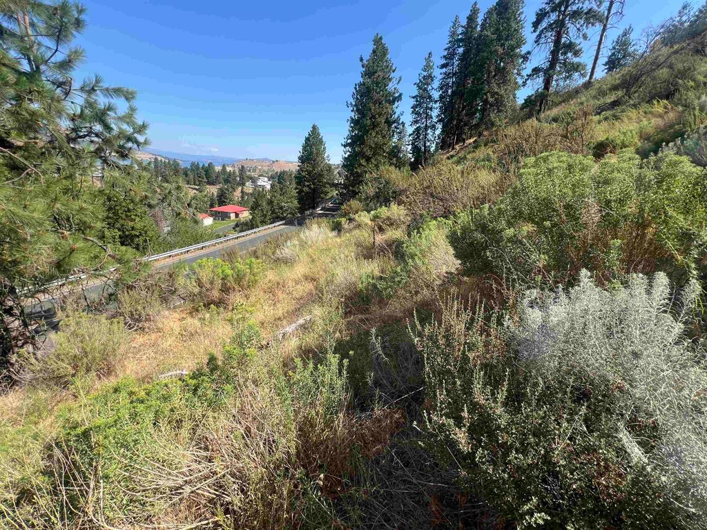 XXX E Seven Bays Rd, Lincoln, WA 99147 photo 14