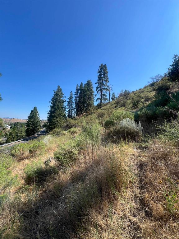 XXX E Seven Bays Rd, Lincoln, WA 99147 photo 6