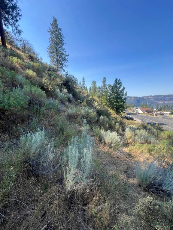 XXX E Seven Bays Rd, Lincoln, WA 99147 photo 7