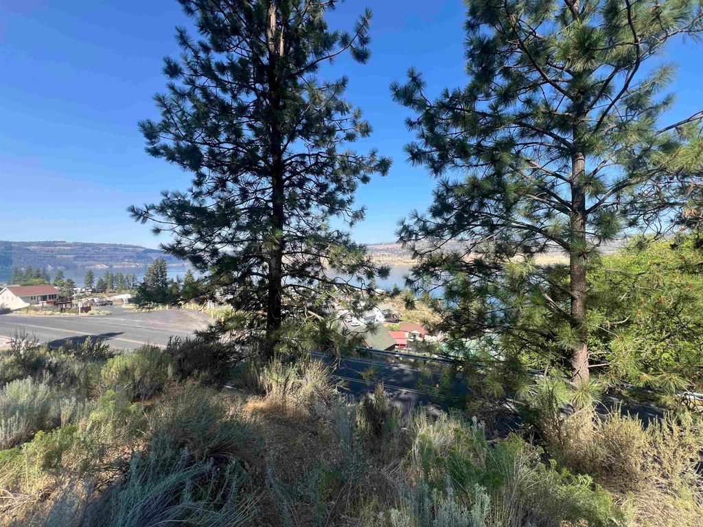 XXX E Seven Bays Rd, Lincoln, WA 99147 photo 8