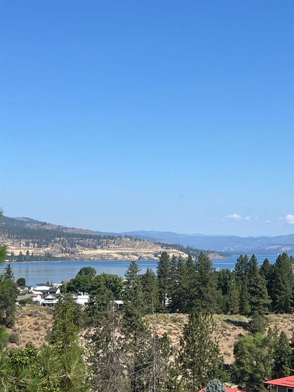 XXX E Seven Bays Rd, Lincoln, WA 99147 photo 10