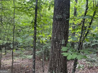 0 Dowdy Road, Roopville, GA 30170