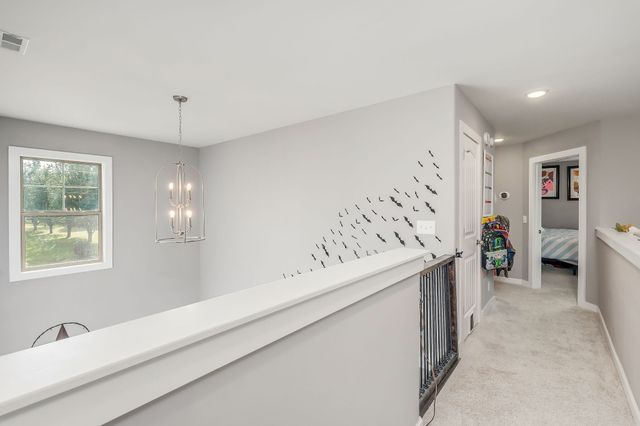 158 Briarwood Ln, Smithville, TN 37166