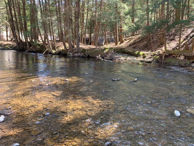 604 Basket Road, Long Eddy, NY 12760