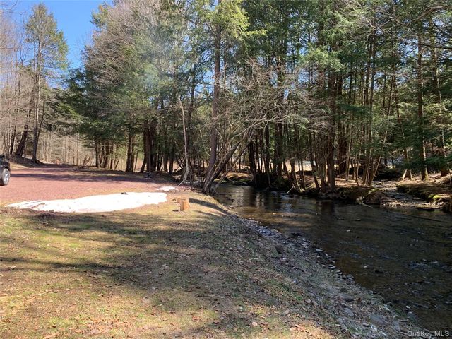 604 Basket Road, Long Eddy, NY 12760