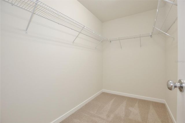 5586 PINELAND RUN, Orlando, FL 32829
