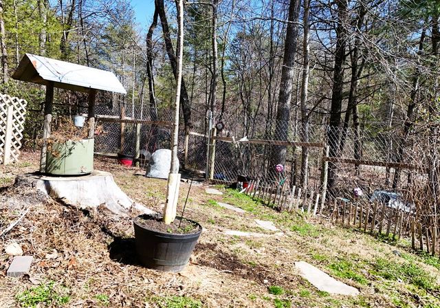 302 Rivercane Road, Brasstown, NC 28902