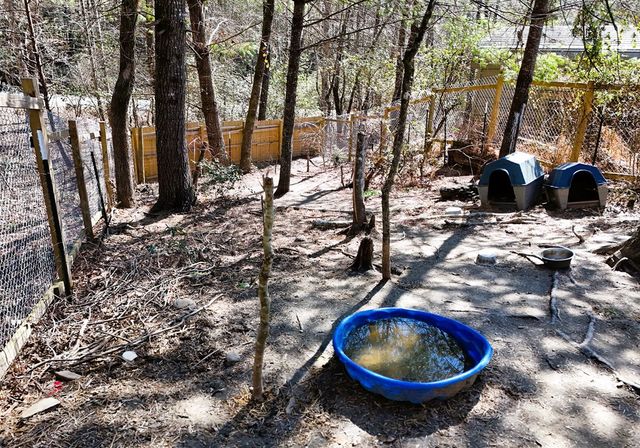 302 Rivercane Road, Brasstown, NC 28902