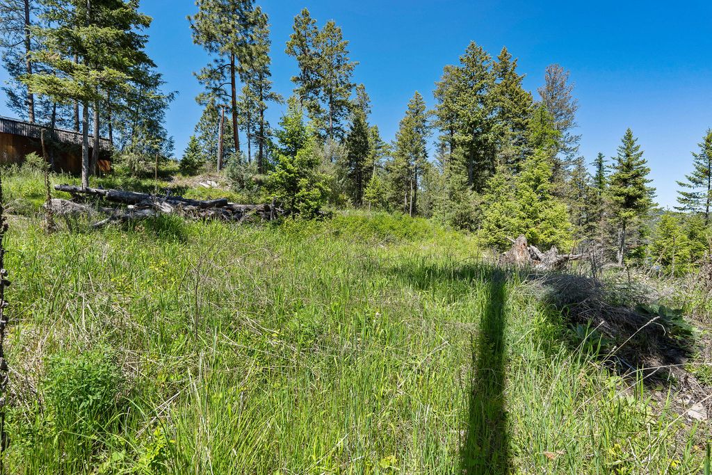 39270 Running Rock Lane, Lakeside, MT 59922 photo 10