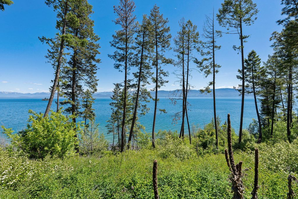 39270 Running Rock Lane, Lakeside, MT 59922 photo 23