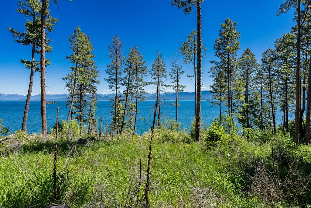 39270 Running Rock Lane, Lakeside, MT 59922 photo 9