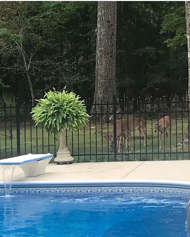 106 Blanton Ct, Tullahoma, TN 37388