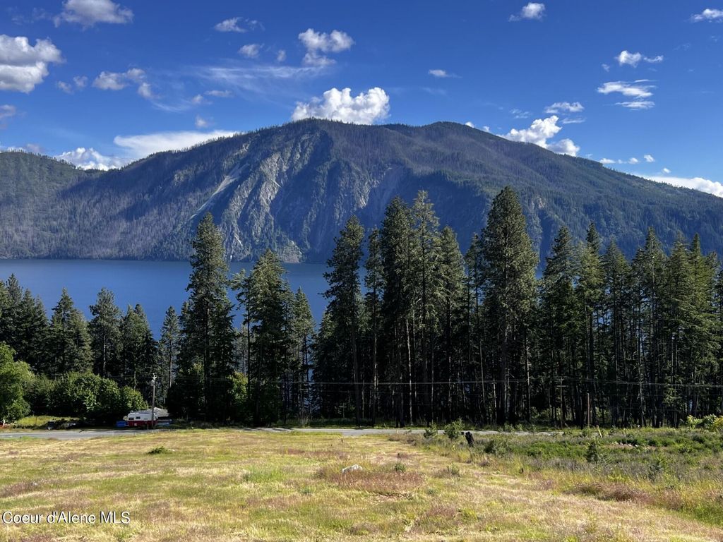 LT 1 BLK 3 MOOSE TRACK / E CAPE HORN RD, Bayview, ID 83803