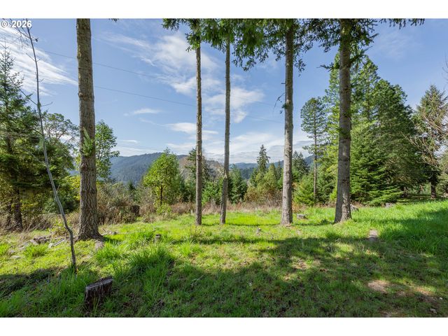 1020 SPOONER RIDGE Ln, Oakland, OR 97462