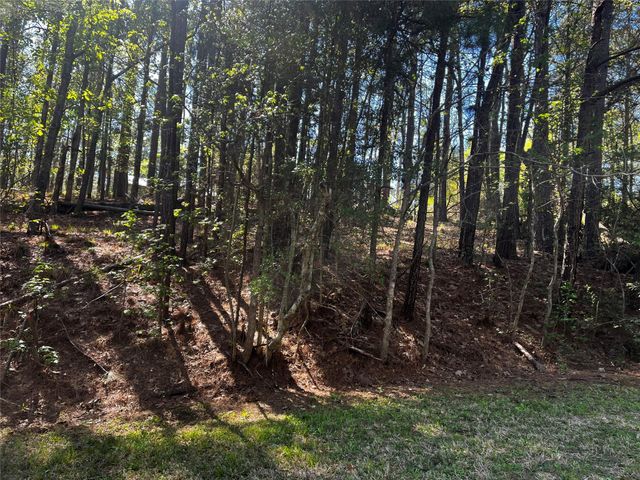 207 Green Tree Drive, Coldspring, TX 77331