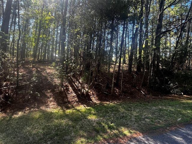 207 Green Tree Drive, Coldspring, TX 77331