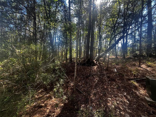 207 Green Tree Drive, Coldspring, TX 77331