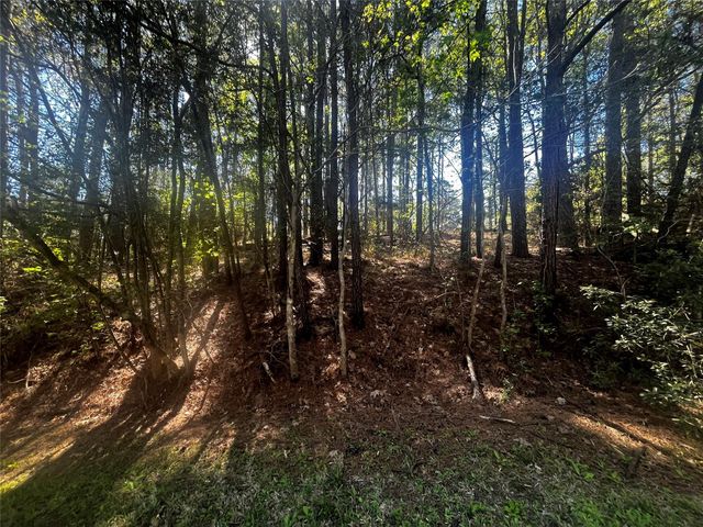 207 Green Tree Drive, Coldspring, TX 77331