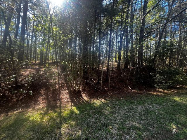 207 Green Tree Drive, Coldspring, TX 77331