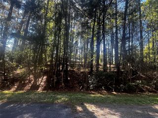 207 Green Tree Drive, Coldspring, TX 77331