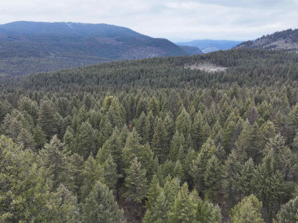 00 Quinns Meadow Rd, Colville, WA 99114 photo 13