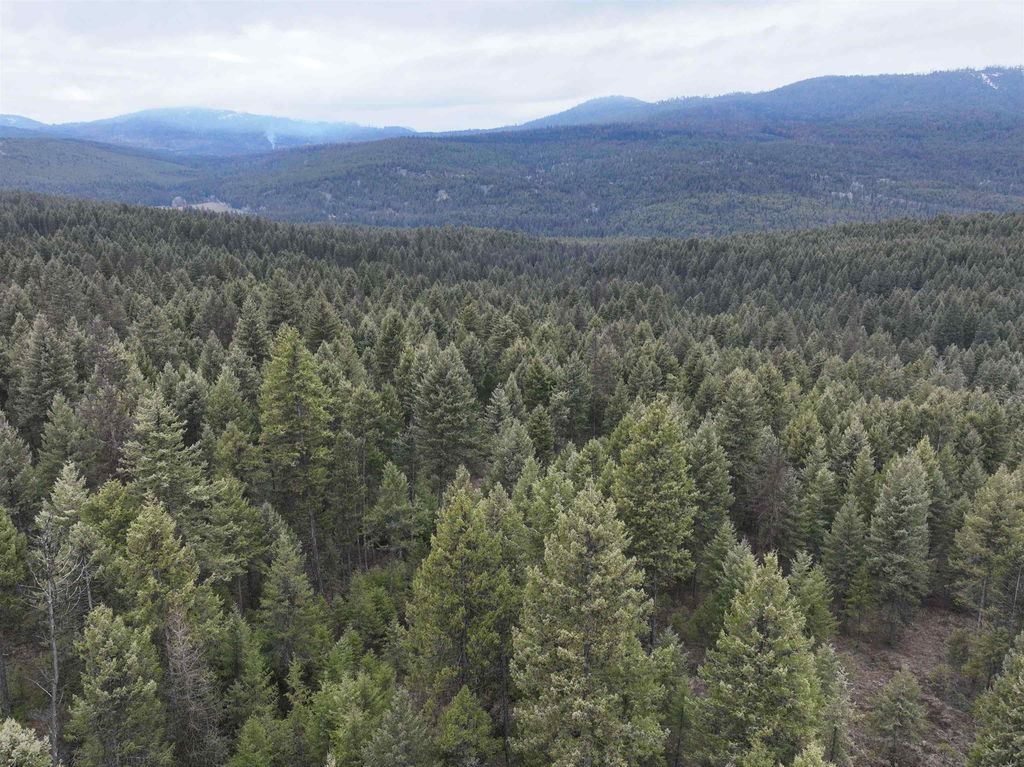 00 Quinns Meadow Rd, Colville, WA 99114 photo 14