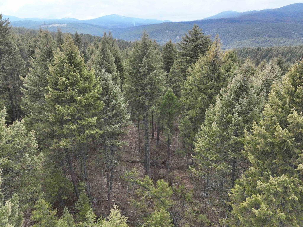 00 Quinns Meadow Rd, Colville, WA 99114 photo 6