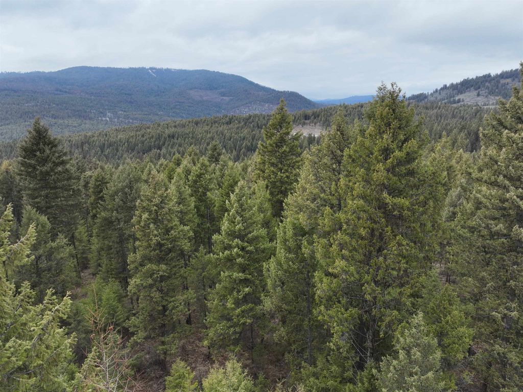 00 Quinns Meadow Rd, Colville, WA 99114 photo 7