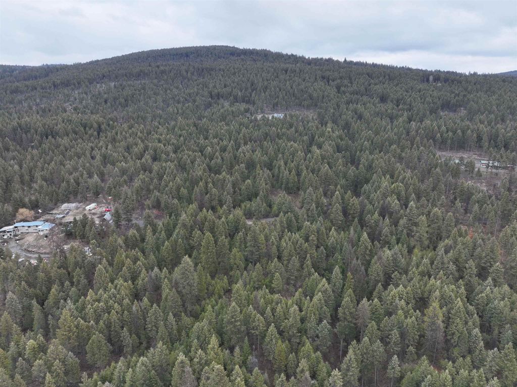 00 Quinns Meadow Rd, Colville, WA 99114 photo 9