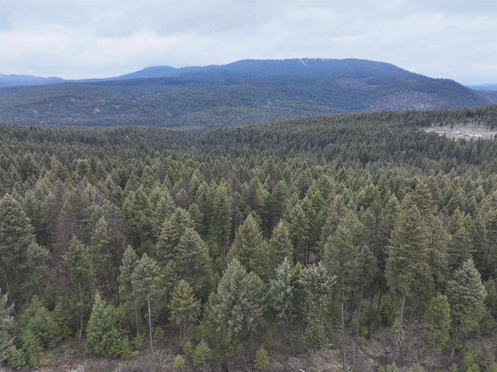 00 Quinns Meadow Rd, Colville, WA 99114 photo 10