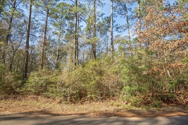 13321 Lueders Lane, Plantersville, TX 77363