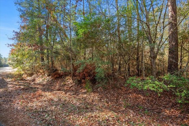 13321 Lueders Lane, Plantersville, TX 77363