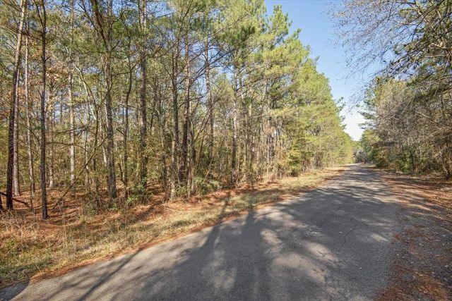 13321 Lueders Lane, Plantersville, TX 77363
