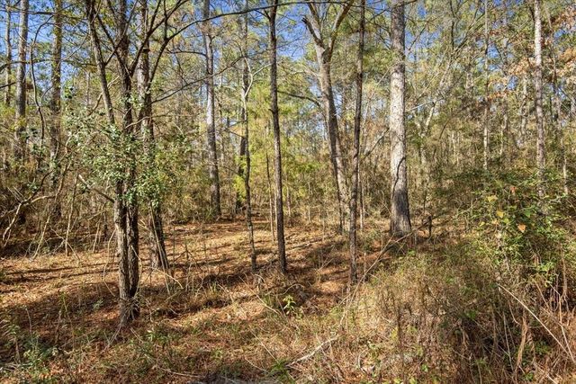 13321 Lueders Lane, Plantersville, TX 77363