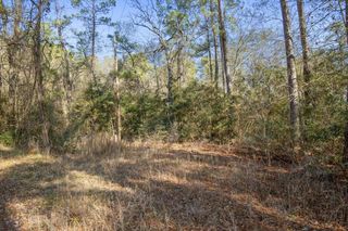 13321 Lueders Lane, Plantersville, TX 77363