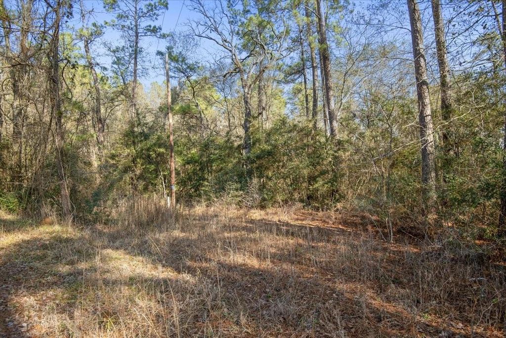 13321 Lueders Lane, Plantersville, TX 77363