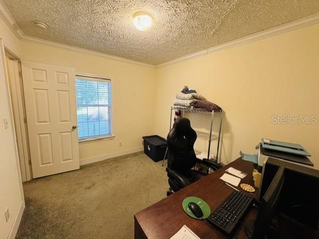 11817 SW 58TH STREET, Webster, FL 33597