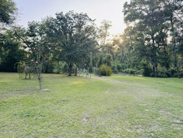 11817 SW 58TH STREET, Webster, FL 33597