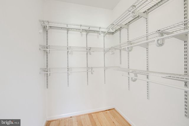 703 GEORGE ST, Baltimore, MD 21201