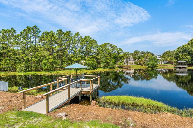 164 Lakeview Beach Drive, Miramar Beach, FL 32550