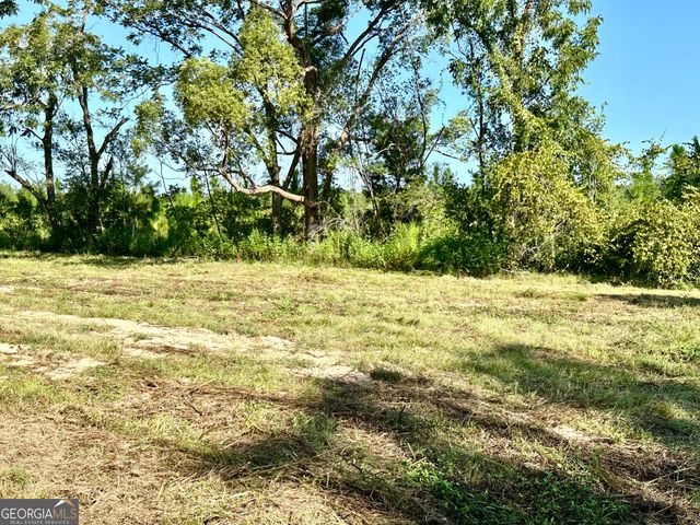 3344 Strickland Avenue Extension, Blackshear, GA 31516