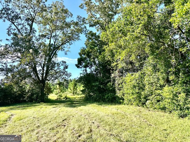 3344 Strickland Avenue Extension, Blackshear, GA 31516