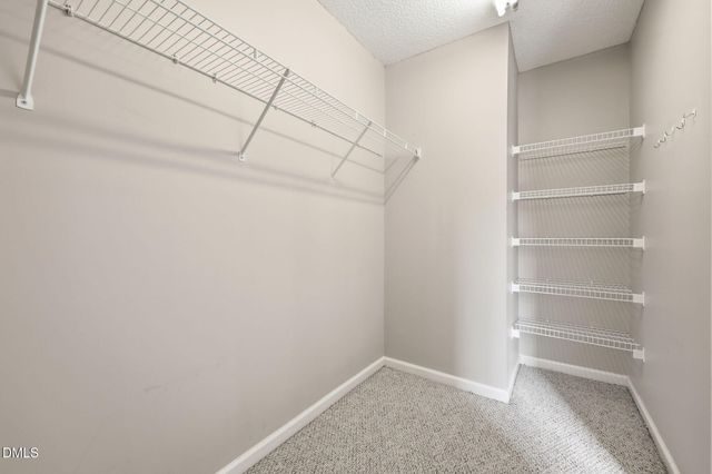 292 River Birch Run, Coats, NC 27521