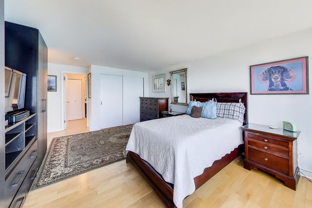 505 N LAKE SHORE Drive 6206, Chicago, IL 60611