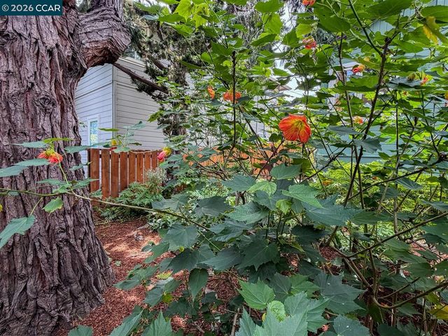 3754 Enos Ave, Oakland, CA 94619